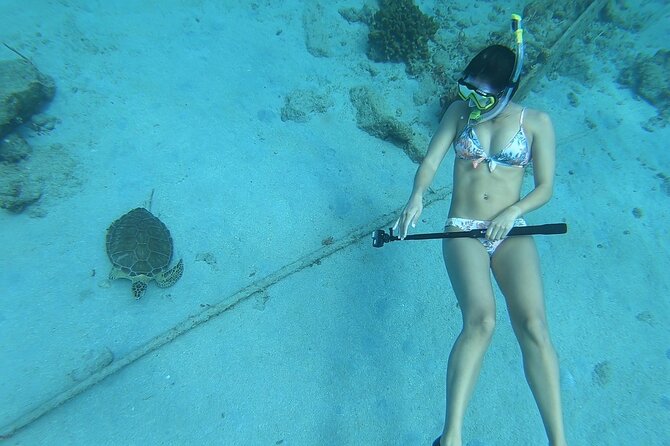 Snorkeling Gear Rental - What the Service Says About Customer Care