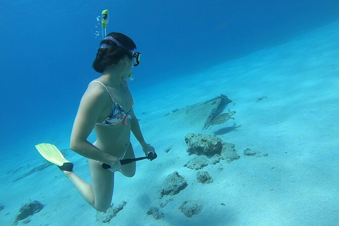 Snorkeling Gear Rental - Who Will Like This Rental Most