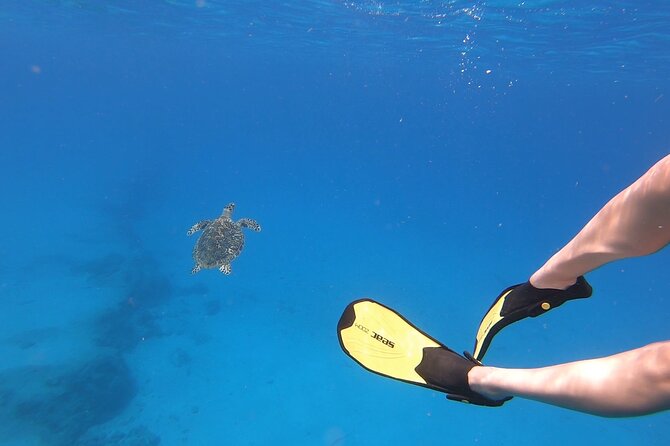 Snorkeling Gear Rental - Delivery to the East End, Hotel, Beach, or Airbnb