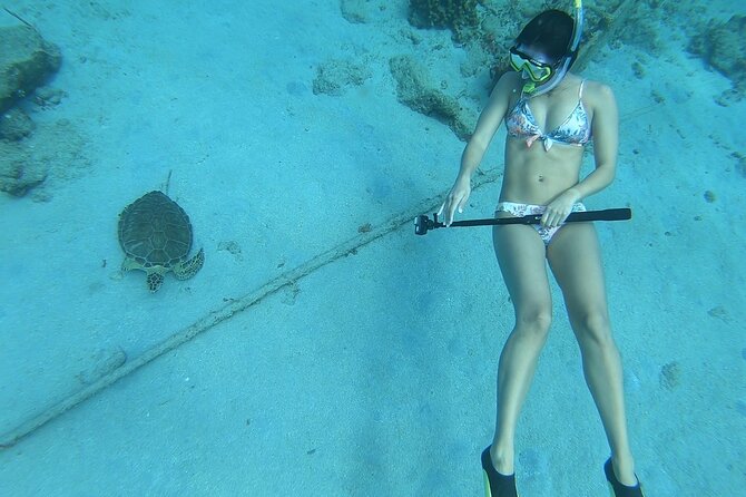 Snorkeling with Sea Turtles - Key points at a glance