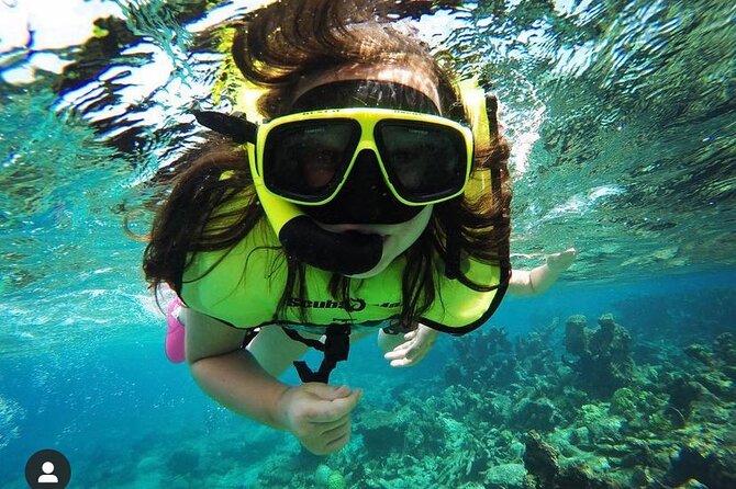 Snorkeling with Sea Turtles - The turtle snorkel in shallow Caribbean water