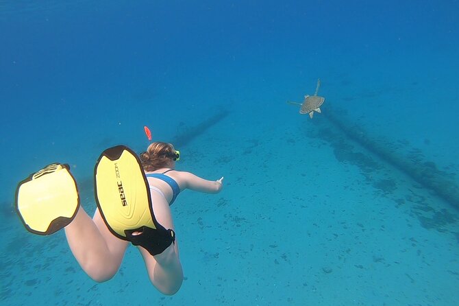 Snorkeling with Sea Turtles - Why the guides are an important part of the day