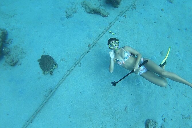 Snorkeling with Sea Turtles - Kayaks, paddleboards, and floats