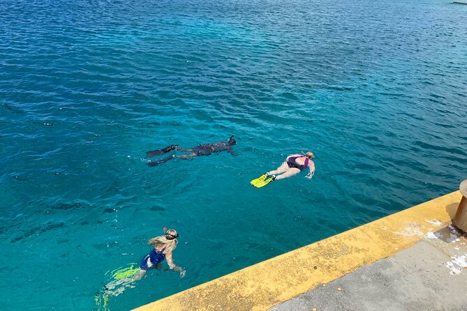 Snorkeling with Sea Turtles - Food, bathrooms, and making a full beach day