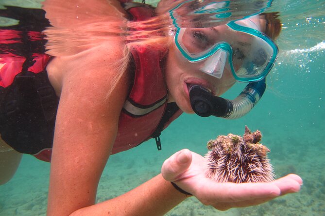 Snorkeling with Sea Turtles at St. Thomas - Why Brewer’s Bay makes this a good turtle outing