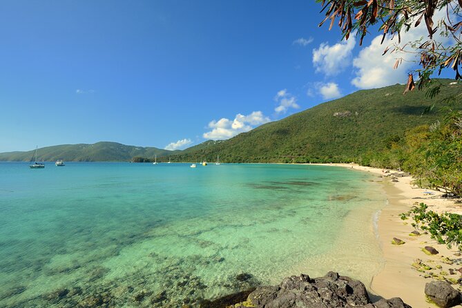 Snorkeling with Sea Turtles at St. Thomas - Who should book this Brewer’s Bay experience