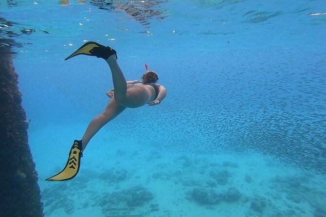 Snorkeling with Sea Turtles - Starting at Frederiksted Pier