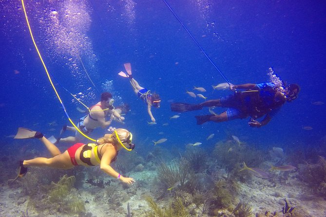 Snuba Adventure at Coral World Ocean Park - Why weather can make or break the outing