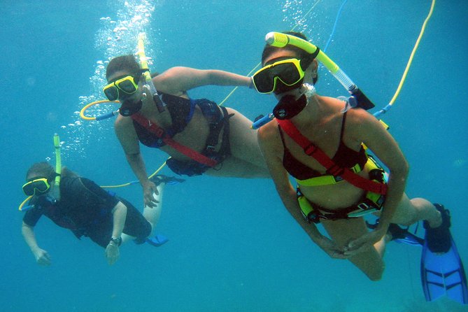 Snuba Adventure at Coral World Ocean Park - Exploring Coral World before or after Snuba