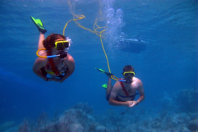 Snuba Adventure at Coral World Ocean Park - The practice period is the most important part