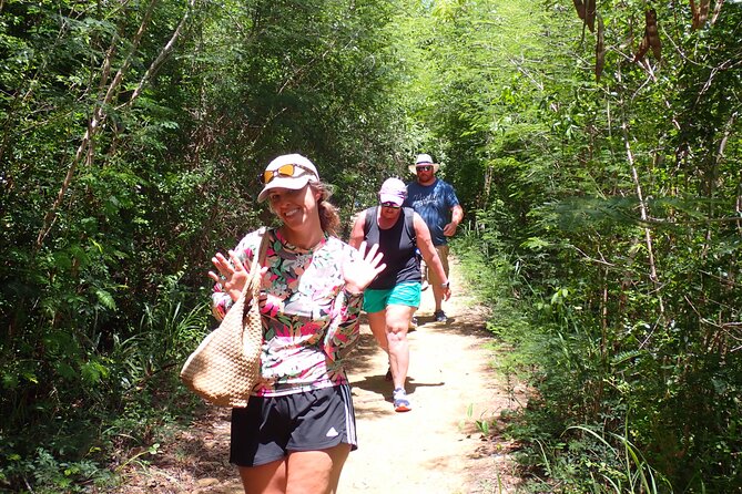 St. John Honeymoon Beach, Hike and Snorkel Adventure - The Cruz Bay and St. Thomas viewpoint