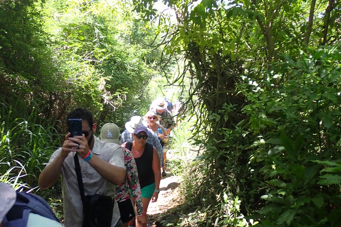 St. John Honeymoon Beach, Hike and Snorkel Adventure - What the guides add to the experience
