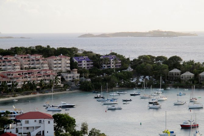 St John Island and Trunk Bay Beach Tour - Why this St John tour works well in a short day