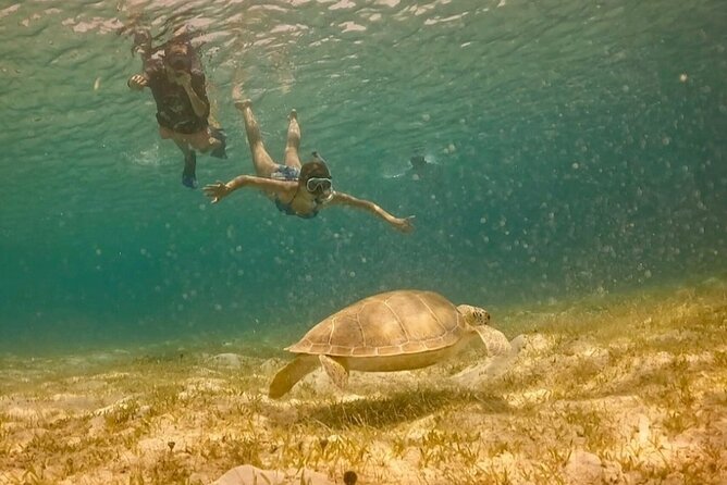 St John -Jeep Ride with A Guide! Customize Itinerary Your Way! - What the $655 price really buys you