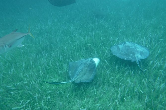 St John & Surrounding Cays - Full-Day Sail/Snorkel, 6 Guests Max - Choosing the snorkeling stops