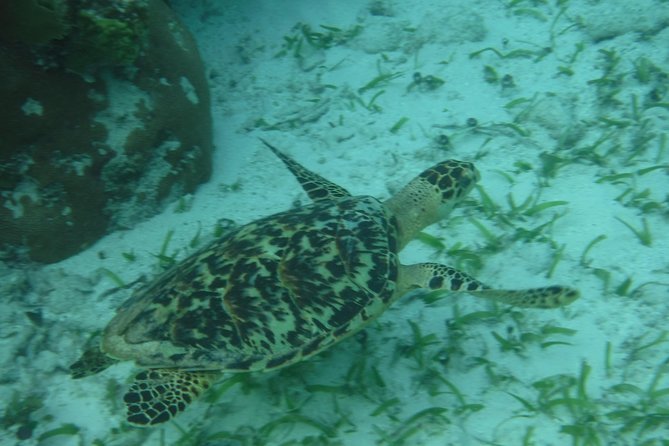 St John & Surrounding Cays - Full-Day Sail/Snorkel, 6 Guests Max - What the $245 price really covers