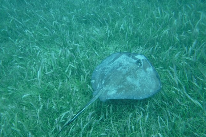 St John & Surrounding Cays - Full-Day Sail/Snorkel, 6 Guests Max - Who should book this day