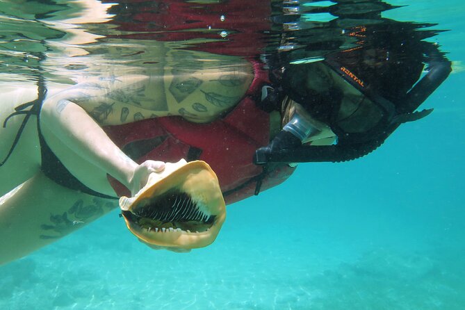 St Thomas Kayak and Sea Turtle Snorkel Excursion - Paddling toward the turtle beach