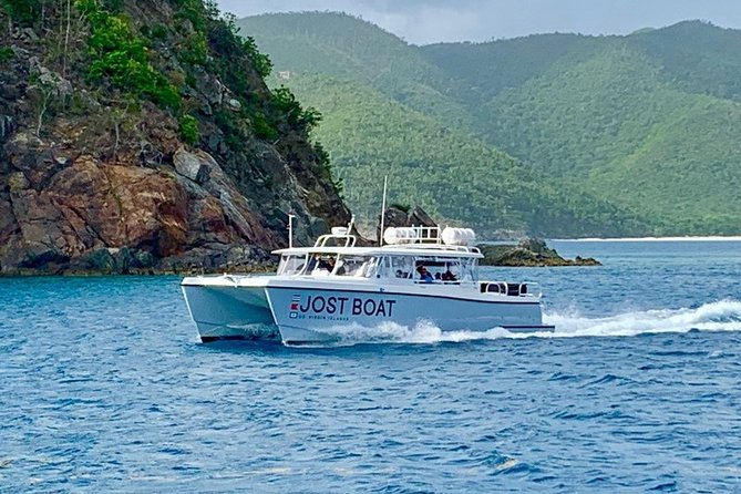 St. Thomas Lime Out Snorkel with Taco Bar Lunch & Swim-Up Bar - Ritz-Carlton - Two reef stops near St. John