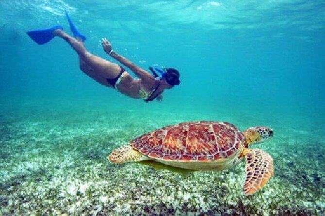 St. Thomas Maho Bay Turtle Snorkel Sail - Ritz-Carlton - Setting sail from The Ritz-Carlton in St. Thomas