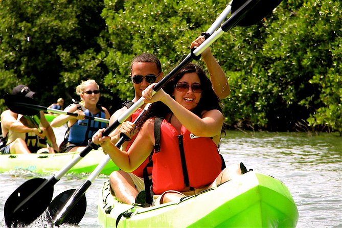 St Thomas Mangrove Lagoon Kayak and Snorkel Tour in the US Virgin Islands - Key points to know before you paddle
