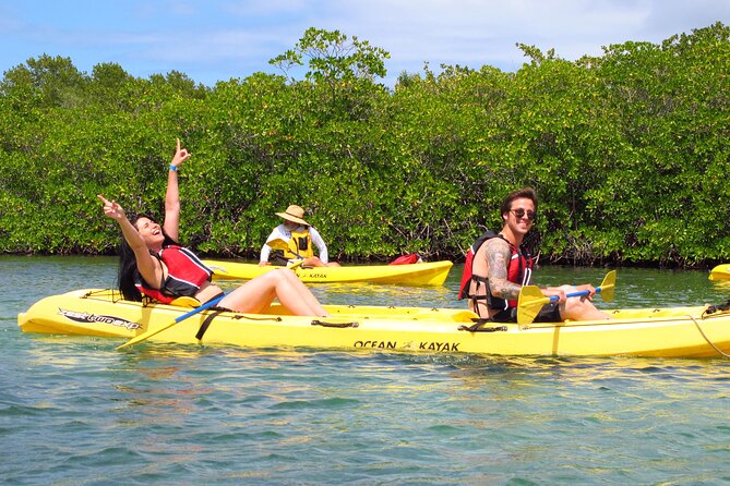 St Thomas Mangrove Lagoon Kayak and Snorkel Tour in the US Virgin Islands - Starting at St. Thomas’ Mangrove Lagoon