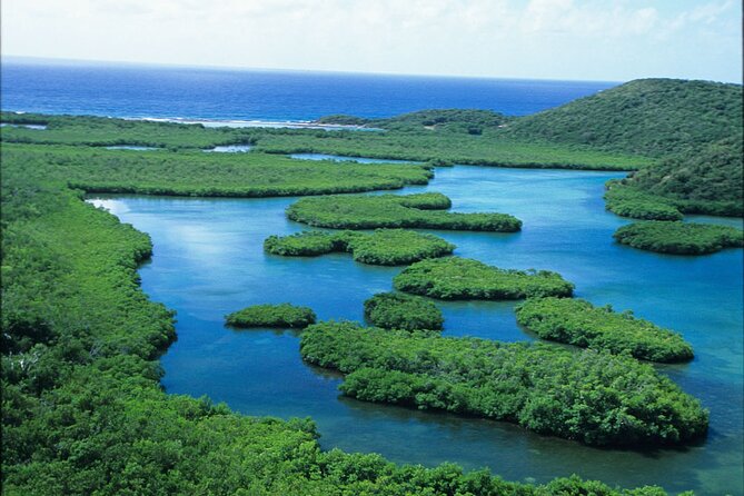 St Thomas Mangrove Lagoon Kayak and Snorkel Tour in the US Virgin Islands - Cas Cay, hermit crabs, and the optional hike