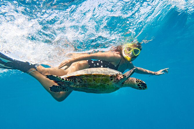 St Thomas Mangrove Lagoon Kayak and Snorkel Tour in the US Virgin Islands - Who should book this St. Thomas tour