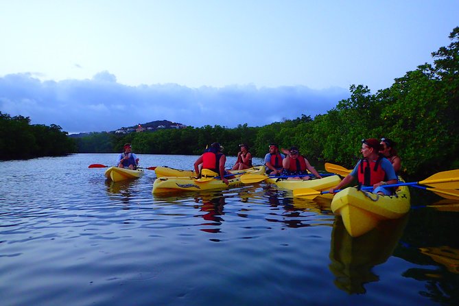 St Thomas Night Kayak Tour - Key points to know before you book