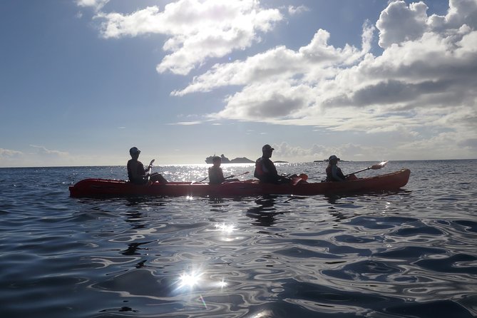 St Thomas Sea Turtle Snorkel Kayak Adventure Tour - Meeting at Emerald Beach Resort at 10 a.m.