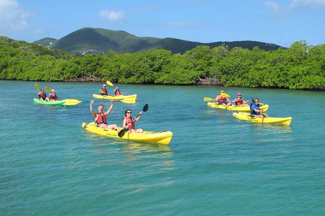 St Thomas Shore Excursion: Mangrove Lagoon Kayak and Snorkel Tour - Key points to know before you book