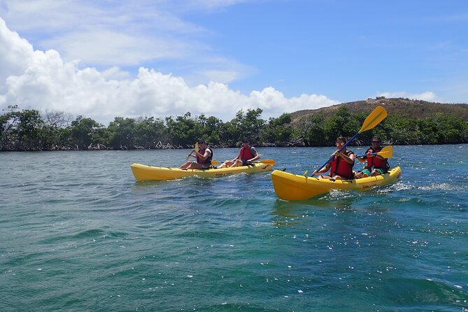 St Thomas Shore Excursion: Mangrove Lagoon Kayak and Snorkel Tour - Guides who make the outing more than exercise