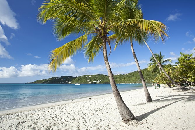 St Thomas Shore Excursion: Shopping, Sightseeing and Beach Tour - Quick take: what makes this tour useful