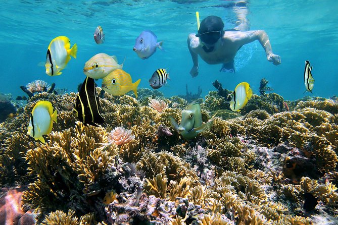 St Thomas~St John Snorkel, Swim & Beach Trip on MV Island Flyer - Key points at a glance