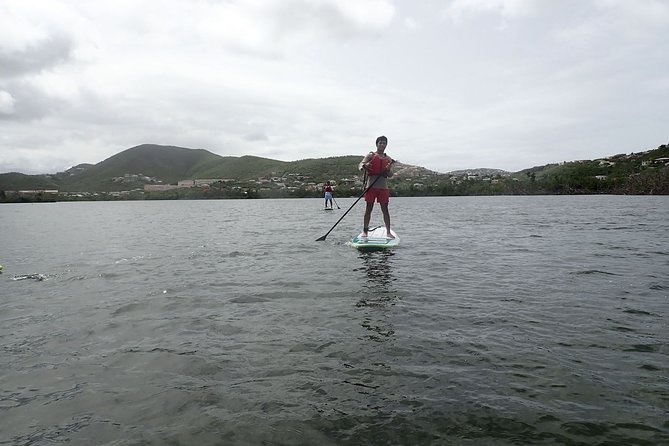 Stand Up Paddleboard Rental in St Thomas - Wildlife is the real reward of going slowly