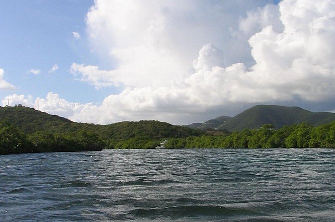 Stand Up Paddleboard Rental in St Thomas - Group size and the feel of the outing