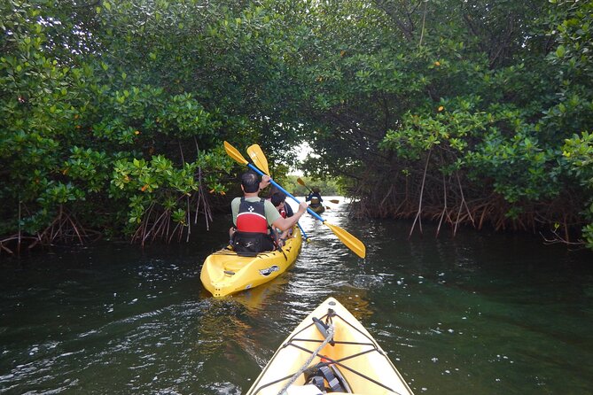 Sunset Kayak Tour in the Mangrove Lagoon, St Thomas - Key points to know before you book