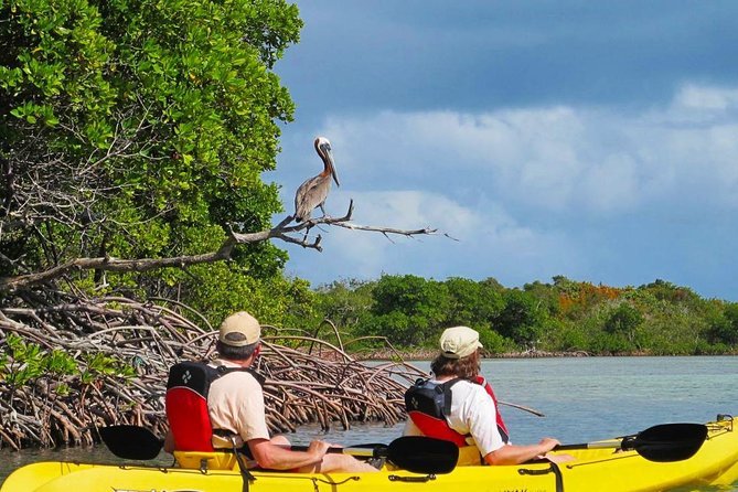 Sunset Kayak Tour in the Mangrove Lagoon, St Thomas - Getting onto the calm water