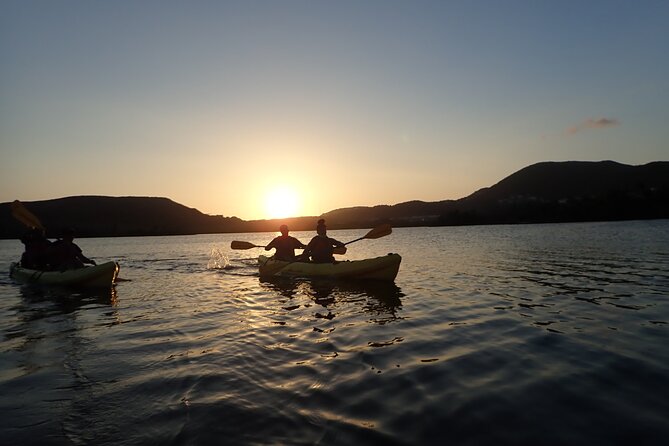 Sunset Kayak Tour in the Mangrove Lagoon, St Thomas - Who will enjoy this St. Thomas kayak tour?