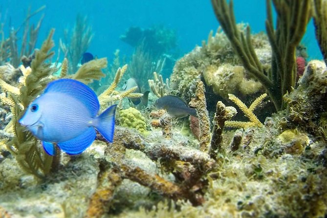 The Baths, Virgin Gorda, Cooper Island & Norman Island Snorkel - The Baths: the day’s main attraction on Virgin Gorda