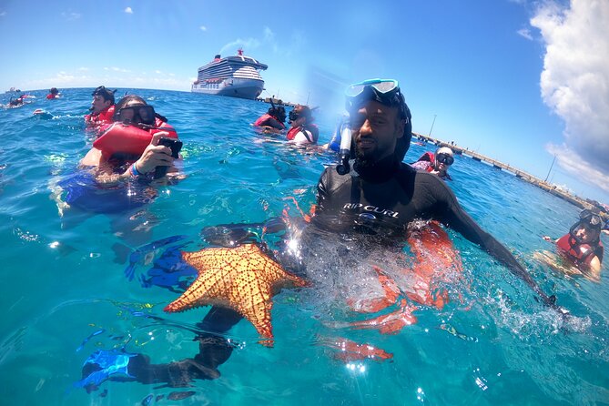 The Frederiksted St. Croix Sea Turtles Snorkeling Tour - Starting beside Frederiksted Pier