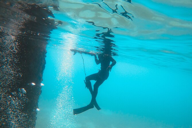The Frederiksted St. Croix Sea Turtles Snorkeling Tour - What the $89 price really covers