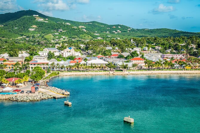 The Frederiksted St. Croix Sea Turtles Snorkeling Tour - Who will enjoy this Frederiksted outing