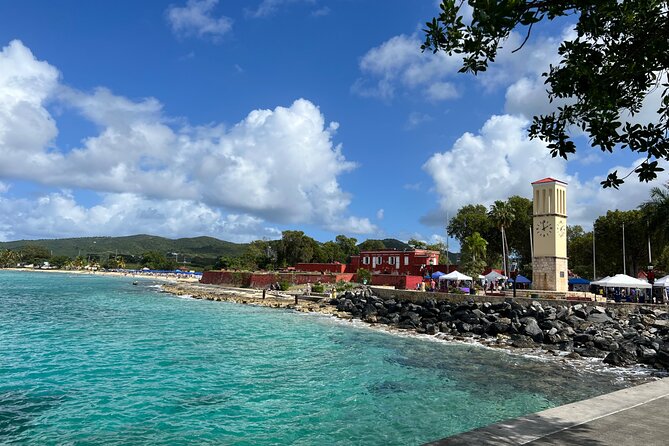 The Frederiksted St. Croix Sea Turtles Snorkeling Tour - Practical preparation for the water