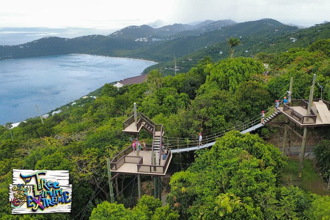Tree Limin' Extreme Zipline - Guides Who Keep the Mood Calm