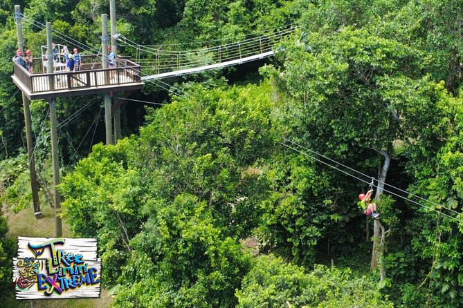 Tree Limin' Extreme Zipline - Who Will Enjoy Tree Limin’ Extreme Most?