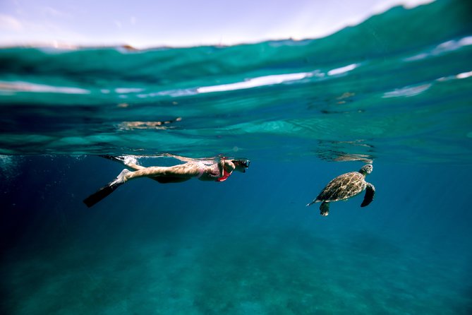Turtle Cove Catamaran Snorkel and Sail at Little Buck Island STT - Key points before you book