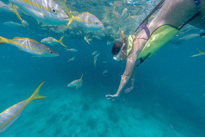 Turtle Snorkel Sail on Buck Island from Frenchman's Reef - Snorkeling at Buck Island