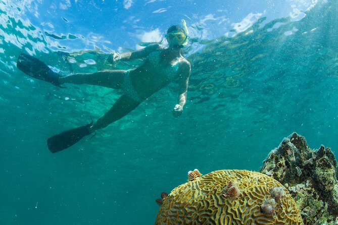 Turtle Snorkel Sail on Buck Island from Frenchman's Reef - Family fun, group size, and comfort