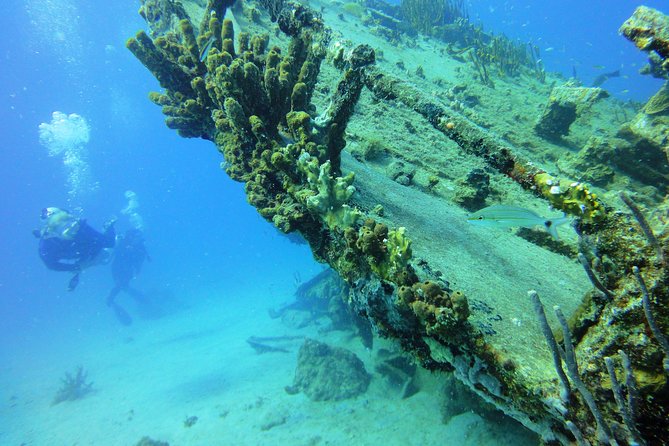 Two-Tank Dive for Certified Diving in St Thomas - The second session and the ride back